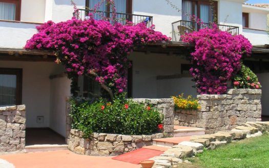 HOTEL PALUMBALZA