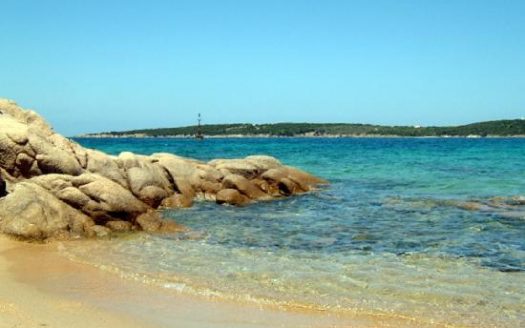 I GIARDINI DI PORTO CERVO — LE MAGNOLIE