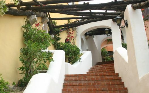 I GIARDINI DI PORTO CERVO — LE MAGNOLIE